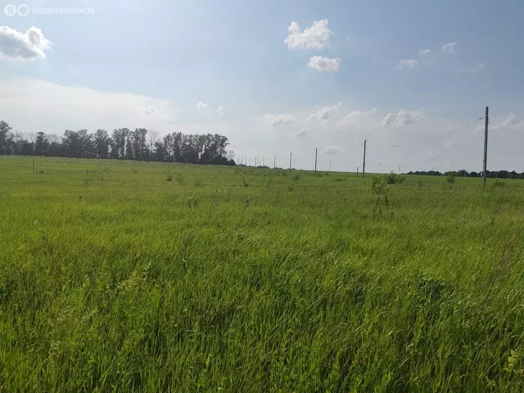 Участок в Тульская область, городской округ Тула, деревня Лутовиново ... - Фото 0