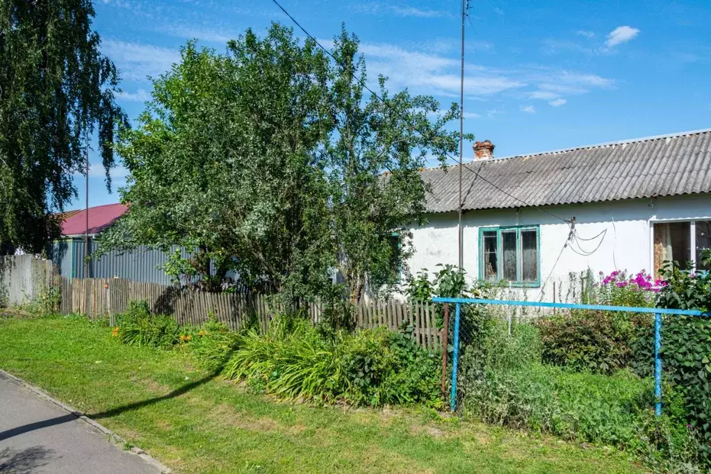 Помещение свободного назначения в Орловская область, Болховский район, ... - Фото 2