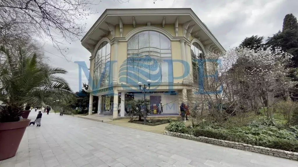 Помещение свободного назначения в Краснодарский край, Сочи Курортный ... - Фото 2