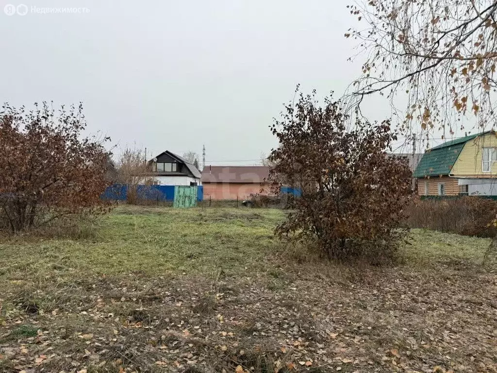 Участок в Омск, садоводческое некоммерческое товарищество Изыскатель ... - Фото 2