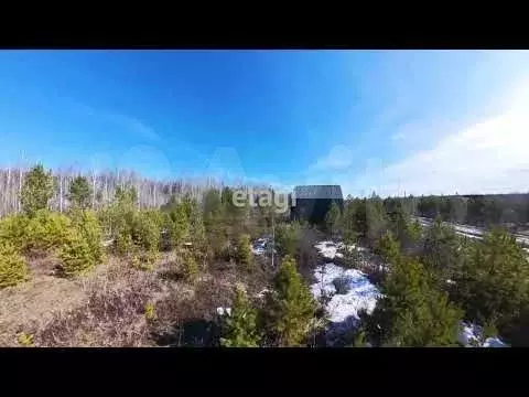 Участок 9 сот. (СНТ, ДНП) - Фото 1