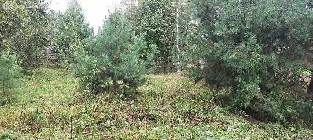 Участок в Майминский район, Соузгинское сельское поселение, посёлок ... - Фото 1