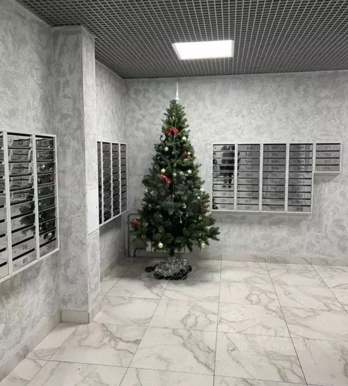 Студия Новосибирская область, Новосибирск ул. Немировича-Данченко, ... - Фото 2