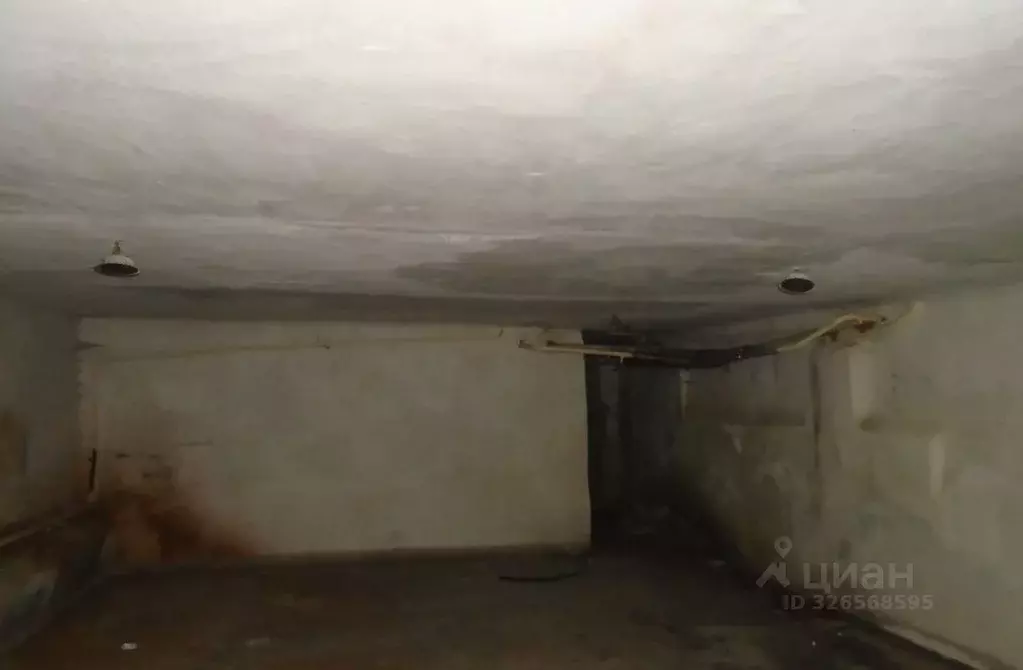 Помещение свободного назначения в Новосибирская область, Новосибирск ... - Фото 2