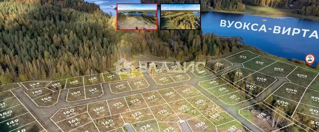 Участок в Ленинградская область, Приозерский район, Ромашкинское ... - Фото 2