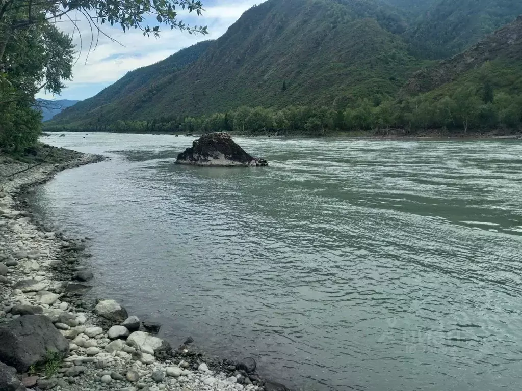 Участок в Алтай, Чемальский район, с. Куюс Центральная ул. (660.0 ... - Фото 0