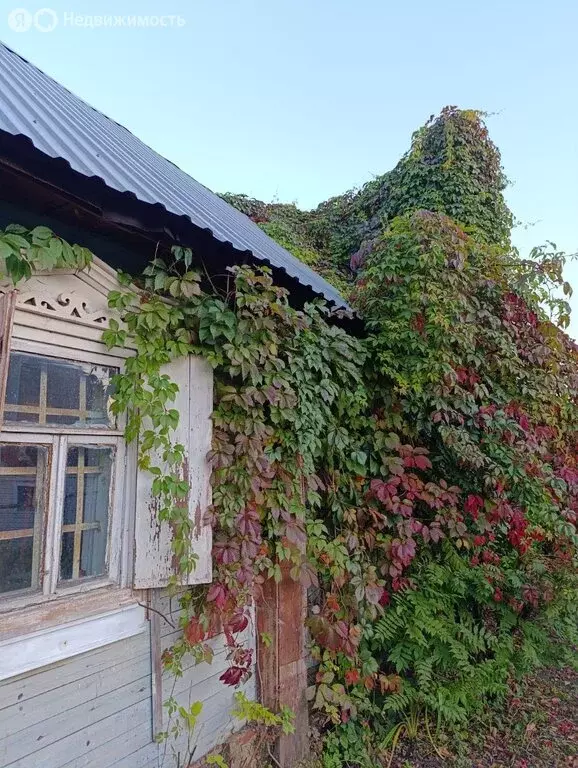 Участок в деревня Большие Жеребцы, 40 (7.5 м) - Фото 2