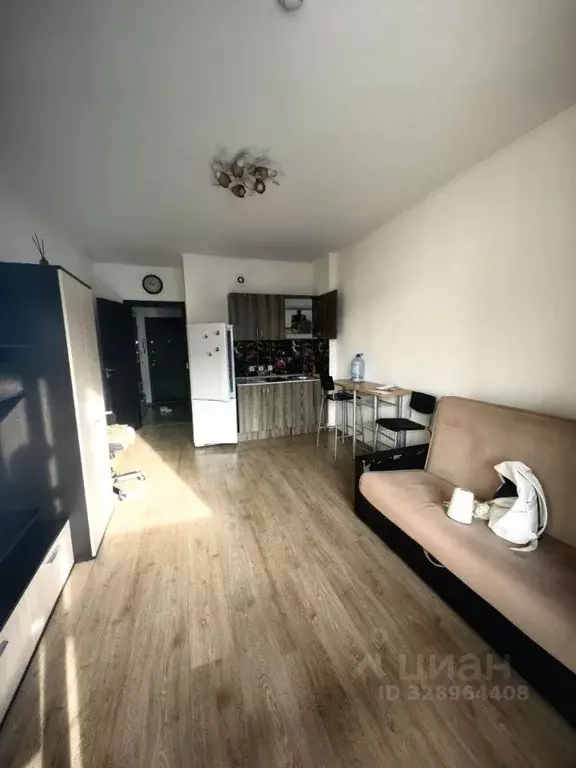 Студия Санкт-Петербург просп. Ветеранов, 169к2 (23.8 м) - Фото 2