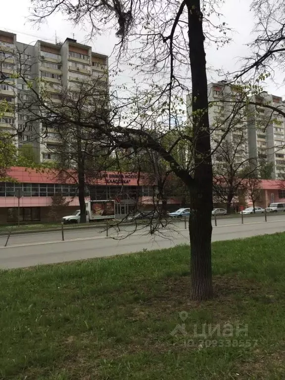 Помещение свободного назначения в Московская область, Одинцово ... - Фото 1