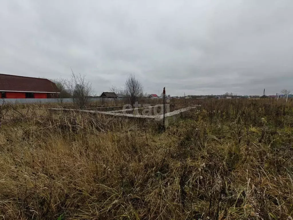 Участок в Владимирская область, Меленковский муниципальный округ, д. ... - Фото 1