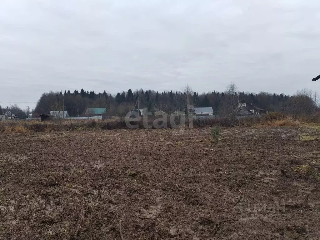 Участок в Вологодская область, Вологодский муниципальный округ, пос. ... - Фото 1