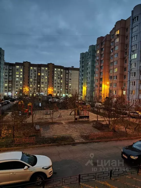 2-к кв. Воронежская область, Воронеж ул. Шишкова, 146в (54.0 м) - Фото 0