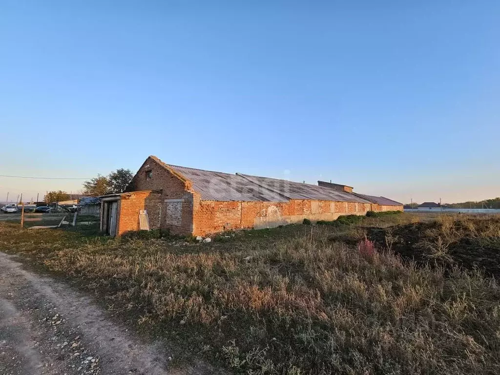 Склад в Саратовская область, Воскресенский район, Елшанское ... - Фото 1