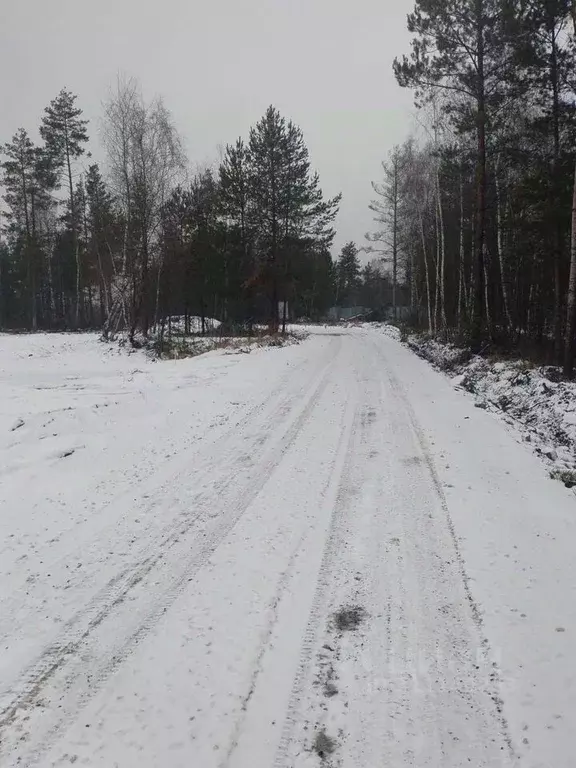 Участок в Московская область, Богородский городской округ, Восточная ... - Фото 1