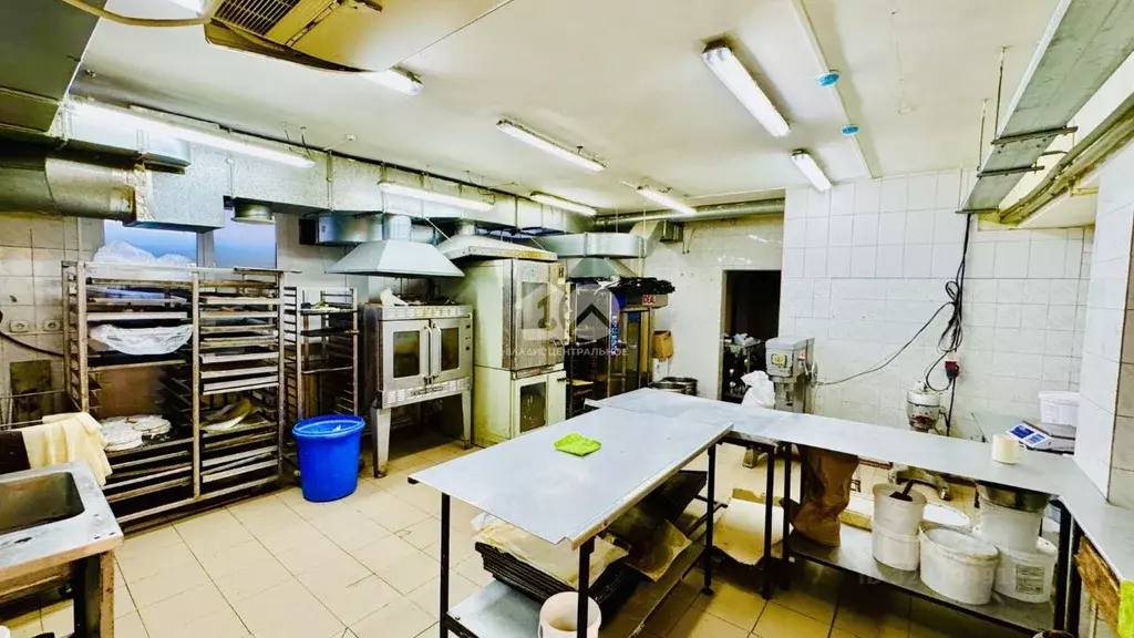 Помещение свободного назначения в Новосибирская область, Новосибирск ... - Фото 2