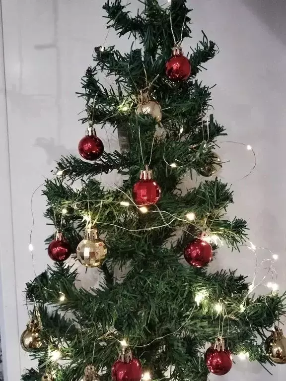 Студия Нижегородская область, Дзержинск ул. Гайдара, 36 (35.0 м) - Фото 2