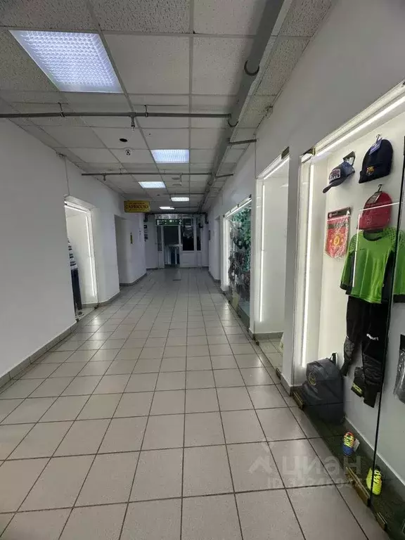 Помещение свободного назначения в Пермский край, Пермь Комсомольский ... - Фото 2