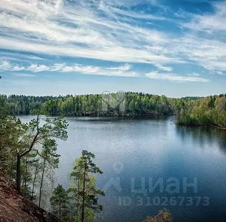 Участок в Ленинградская область, Приозерский район, Красноозерное ... - Фото 0