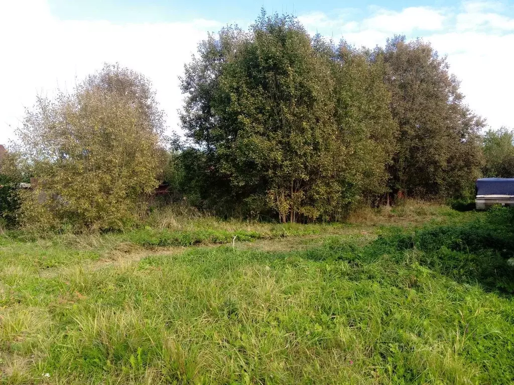 Участок в Ленинградская область, Лужский район, Заклинское с/пос, д. ... - Фото 1
