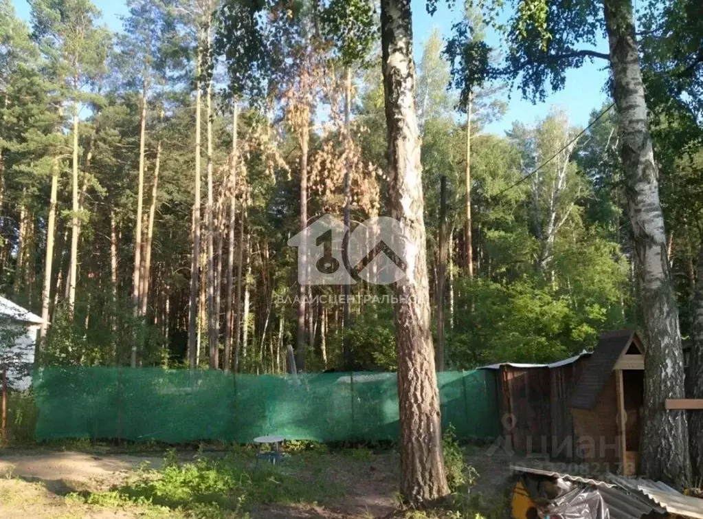 Участок в Новосибирская область, Новосибирск пос. 2-й Жилой поселок ... - Фото 2