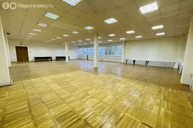 Помещение свободного назначения (222 м) - Фото 1
