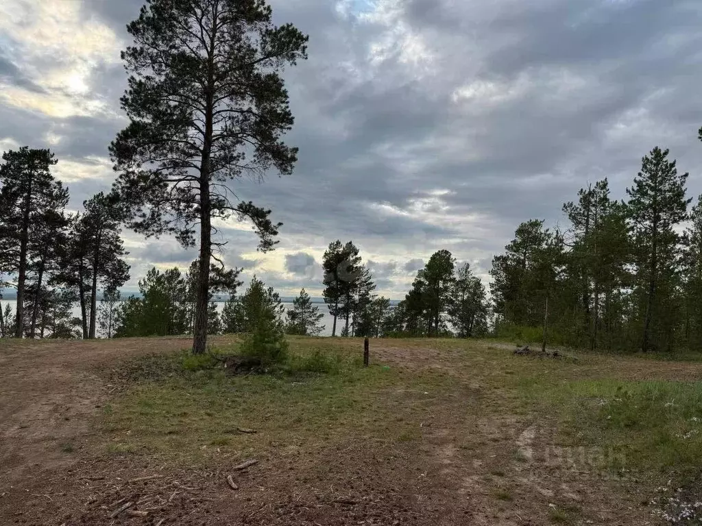 Участок в Саха (Якутия), Мегино-Кангаласский улус, Нижний Бестях пгт  ... - Фото 2