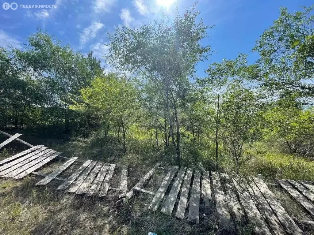 Участок в Нижний Саянтуй, ДНТ Солнечное-1 (15 м) - Фото 0
