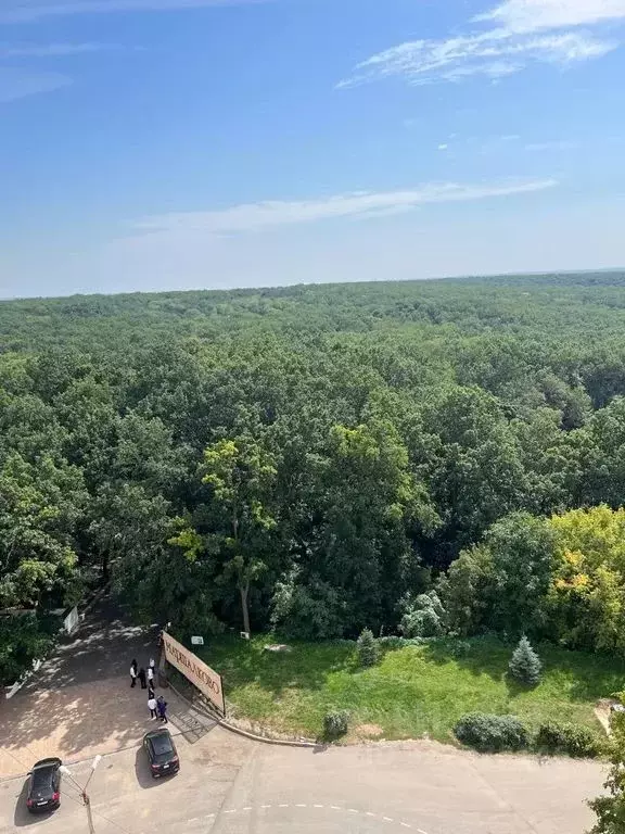 1-к кв. Белгородская область, Строитель Яковлевский городской округ, ... - Фото 2