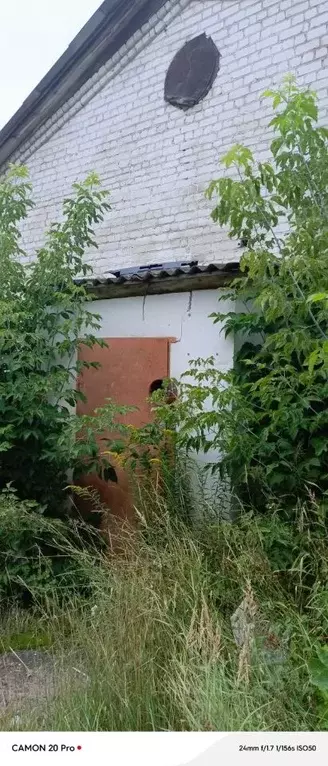 Помещение свободного назначения в Нижегородская область, Заволжье г. ... - Фото 0