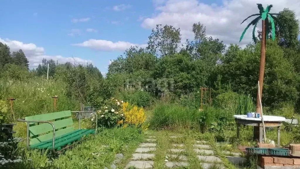 Участок в Свердловская область, Екатеринбург Приисковый-9 СНТ, 243 ... - Фото 1