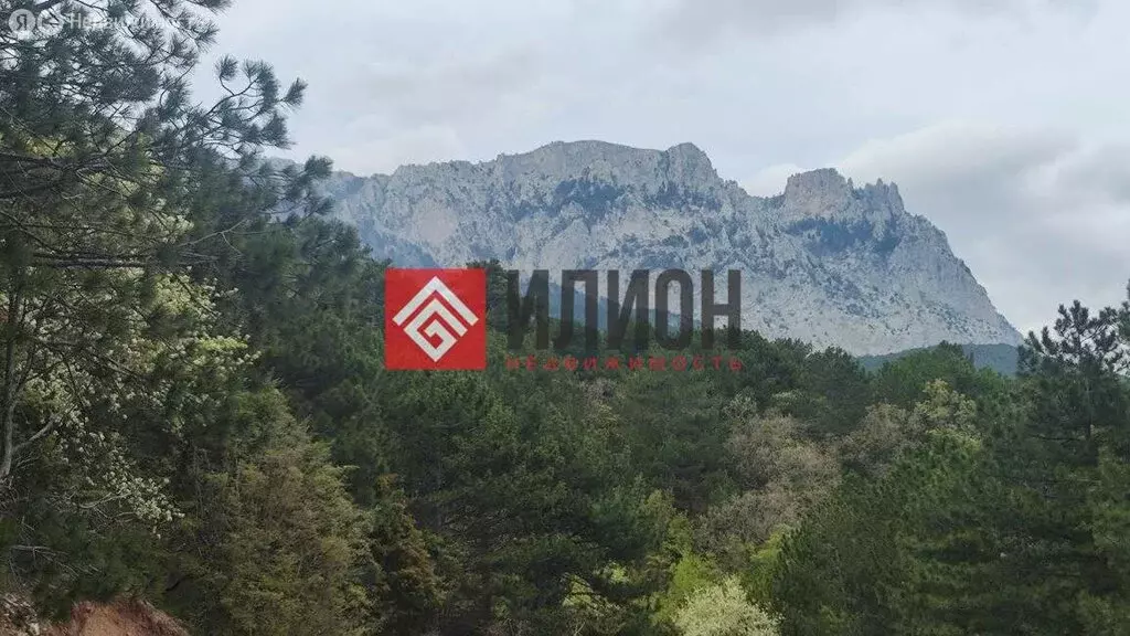 Участок в Алупка, Севастопольское шоссе, 74 (19 м) - Фото 1