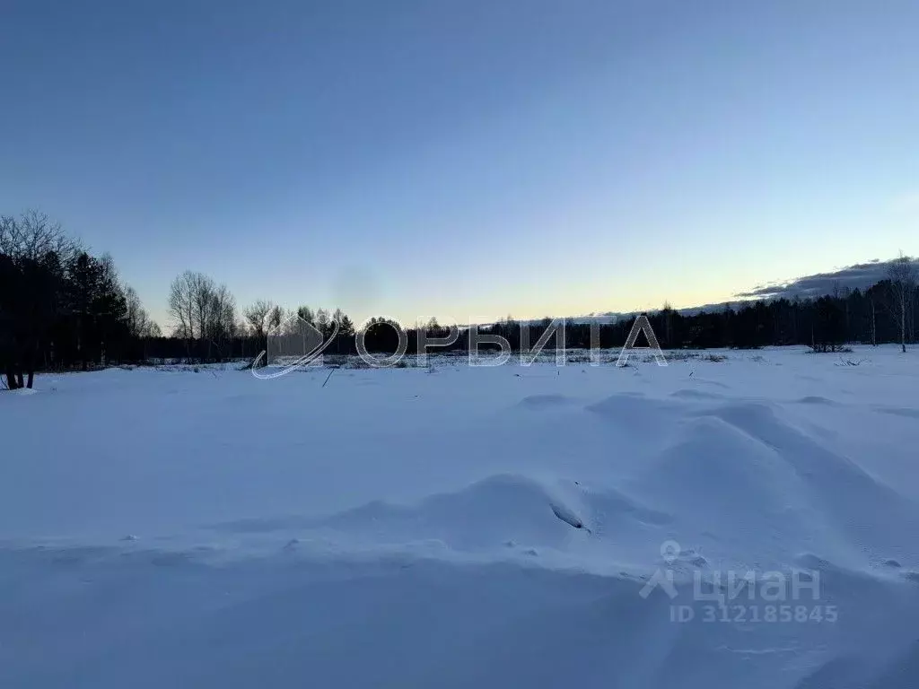 Участок в Тюменская область, Нижнетавдинский район, с. Тюнево  (10.0 ... - Фото 1