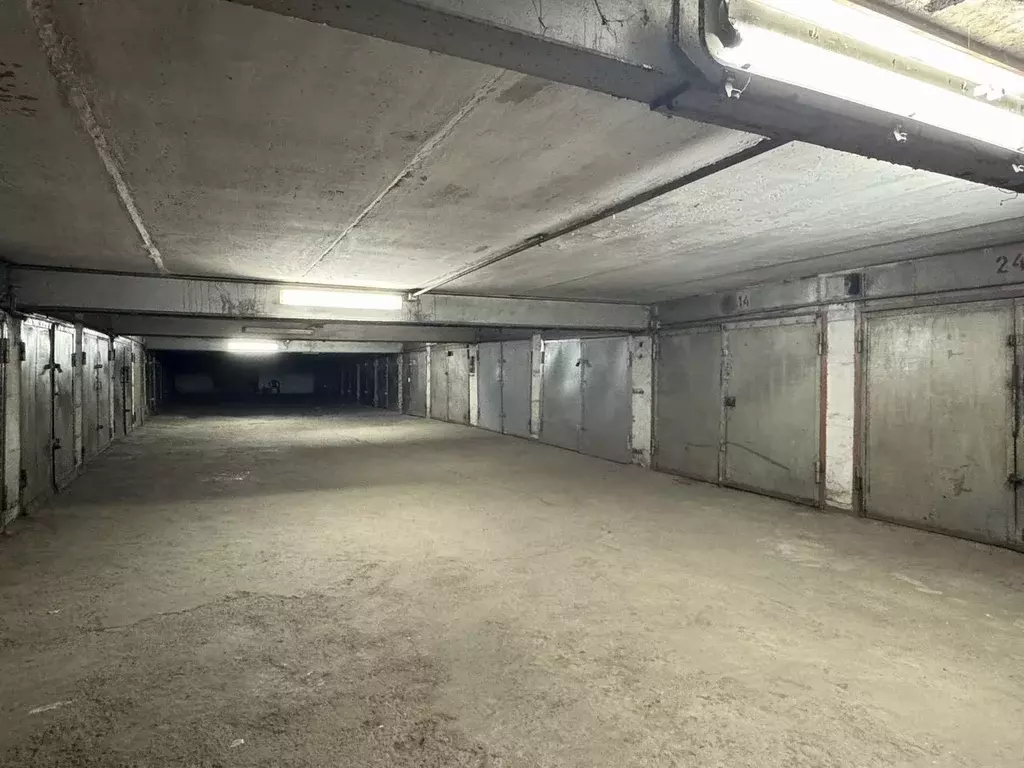 Гараж в Алтайский край, Барнаул ул. 50 лет СССР, 6А (19 м) - Фото 1