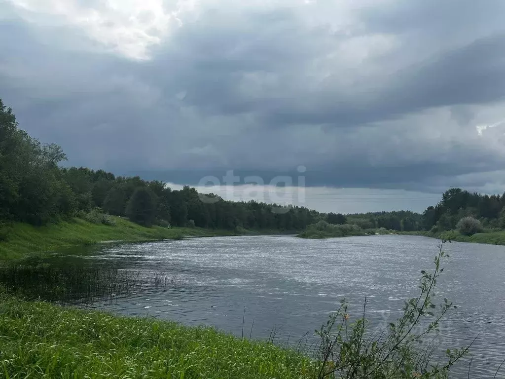 Дом в Тверская область, Максатихинский муниципальный округ, д. ... - Фото 1