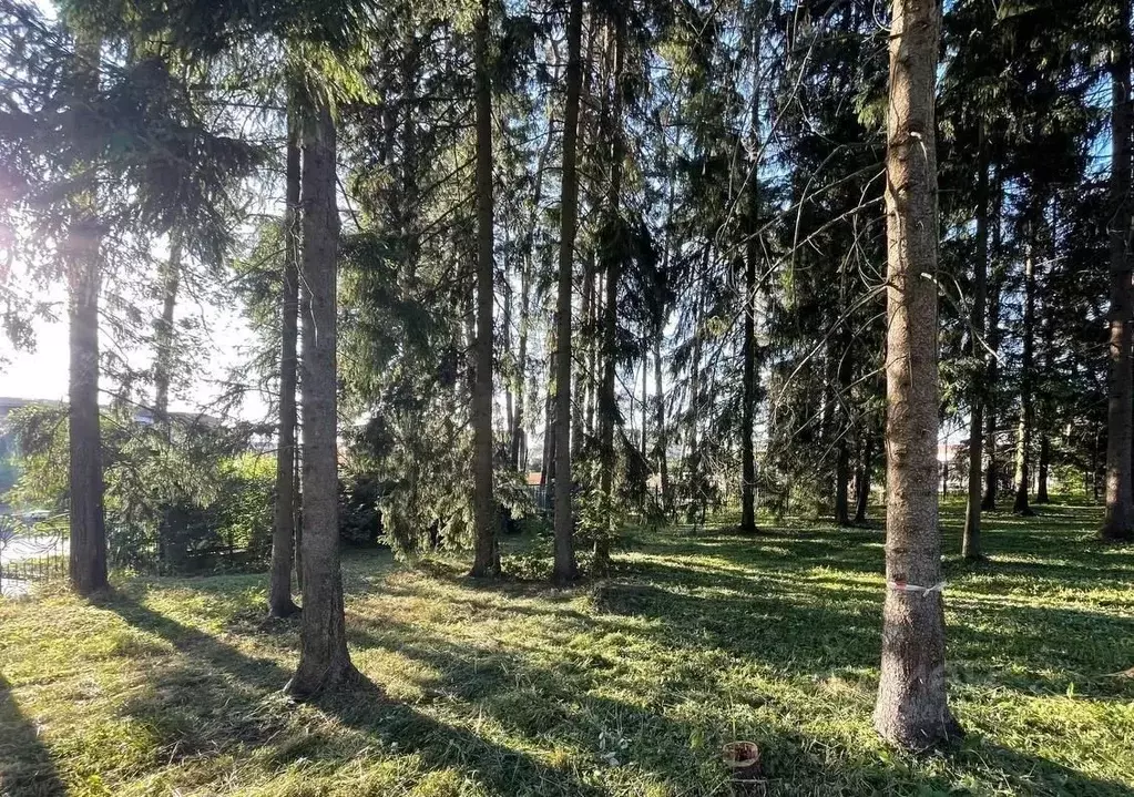 Участок в Московская область, Истра муниципальный округ, д. Чесноково, ... - Фото 1