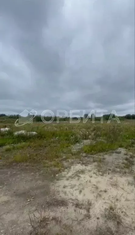 Участок в Тюменская область, Тюмень Царево садовое товарищество, ул. ... - Фото 0