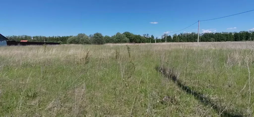 Участок в Тульская область, Кимовск ул. 3-я Мира (15.0 сот.) - Фото 2