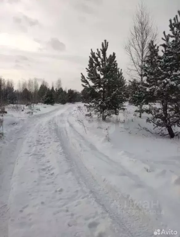 Участок в Красноярский край, Красноярск  (114.97 сот.) - Фото 2