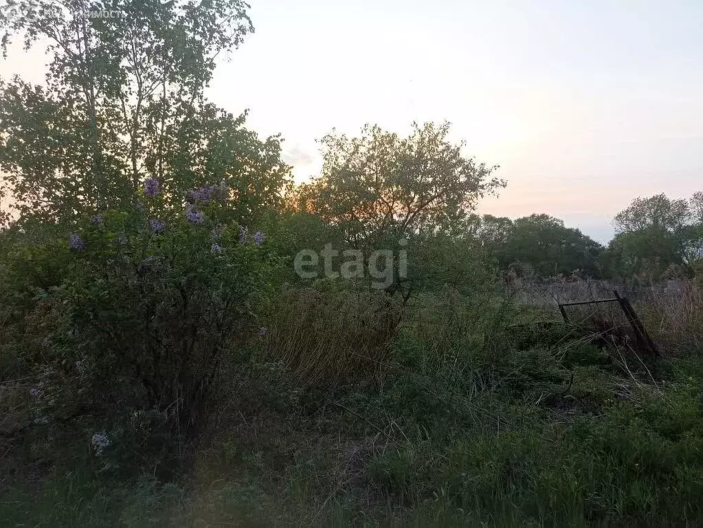 Участок в Хабаровский район, село Мирное (13 м) - Фото 1