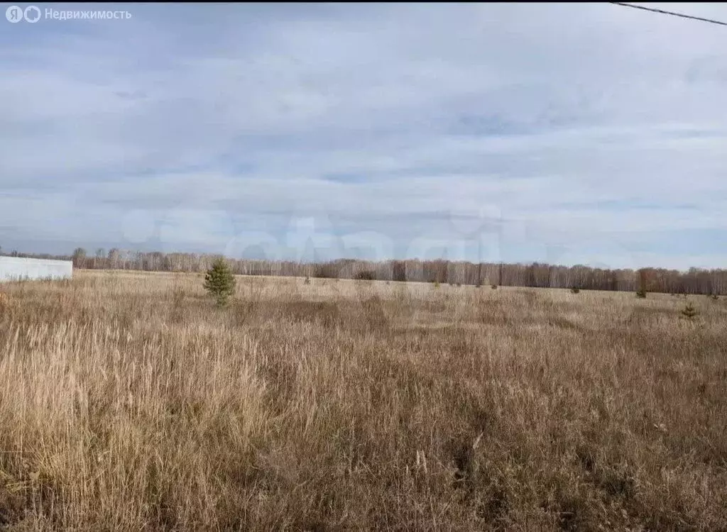 Участок в Курган, микрорайон Чистое Поле, 3-я Чистополевая улица (10 ... - Фото 1