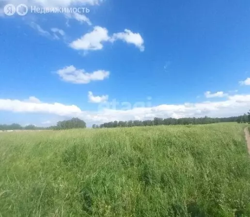 Участок в село Санниково, Восточная улица (34750 м) - Фото 1