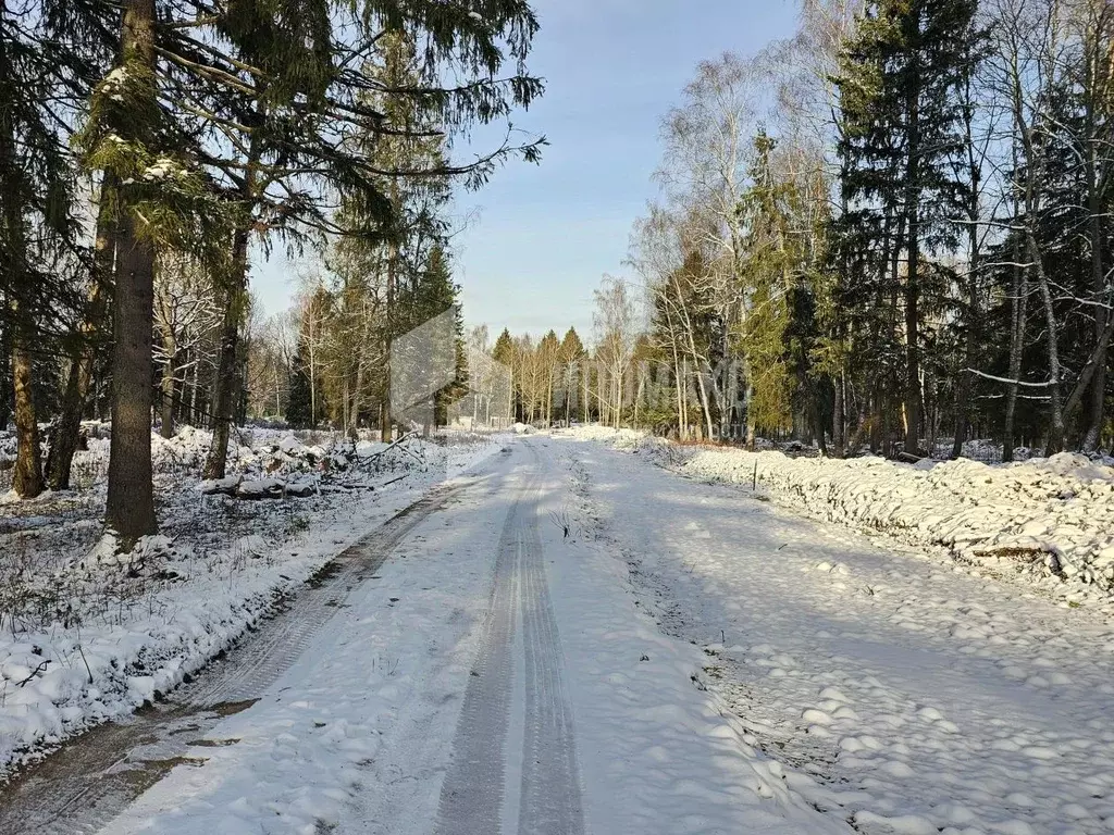 Участок в Московская область, Наро-Фоминский городской округ, пос. ... - Фото 1