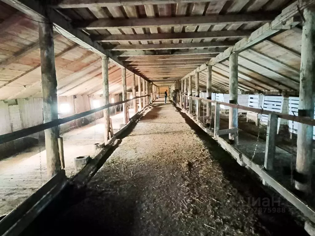 Помещение свободного назначения в Карелия, Пудожский район, Кривецкое ... - Фото 2