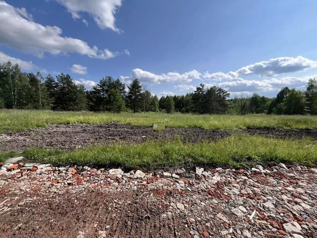 Участок в Московская область, Богородский городской округ, Следово кп ... - Фото 2