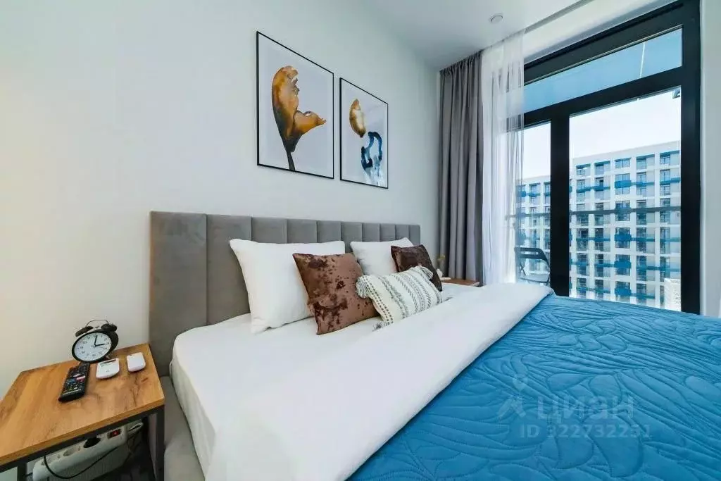 1-к кв. Краснодарский край, Сочи Пластунская ул., 55/1 (24.0 м) - Фото 2