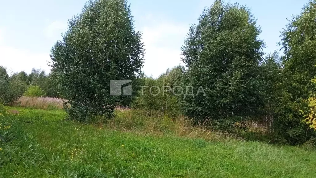 Участок в Кемеровская область, Новокузнецкий муниципальный округ, пос. ... - Фото 0