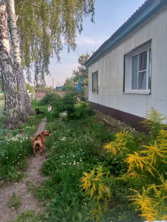 Дом в Воронежская область, Аннинский район, Архангельское с/пос, с. ... - Фото 2