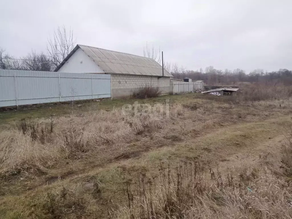 Участок в Белгородская область, Волоконовский район, с. Ютановка ул. ... - Фото 0