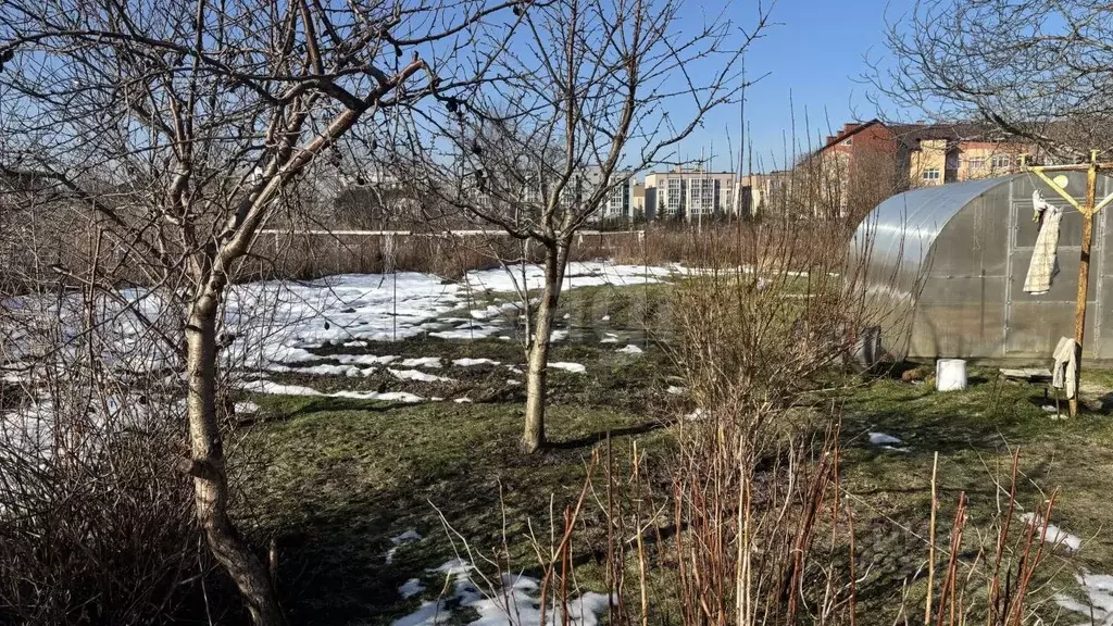 Участок в Калининградская область, Гурьевский муниципальный округ, ... - Фото 1