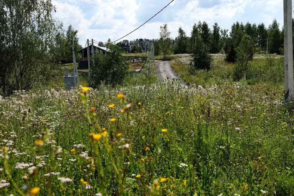 Участок в Московская область, Дмитровский муниципальный округ, пос. ... - Фото 2